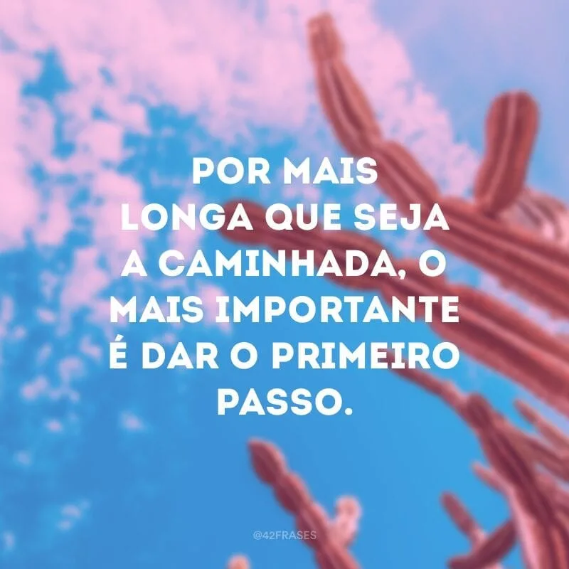 Por mais longa que seja a caminhada, o mais importante é dar o primeiro passo. 