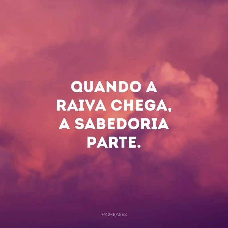 Quando a raiva chega, a sabedoria parte.