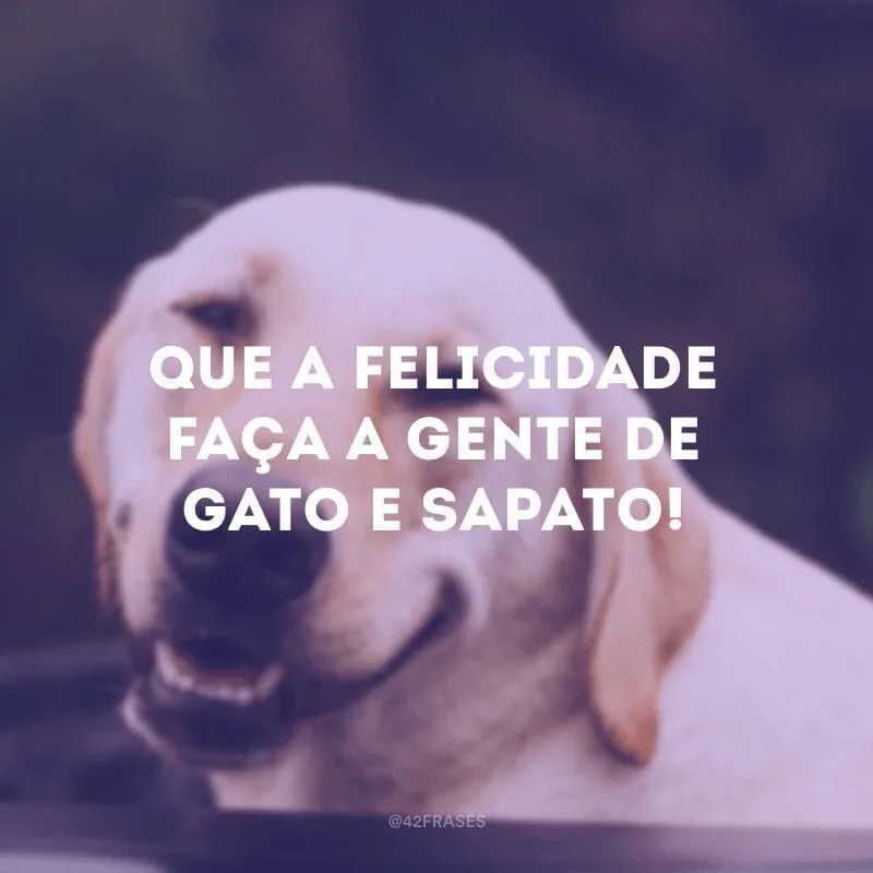 Que a felicidade faça a gente de gato e sapato!