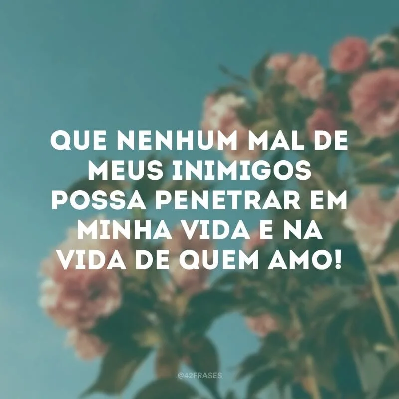 Que nenhum mal de meus inimigos possa penetrar em minha vida e na vida de quem amo!