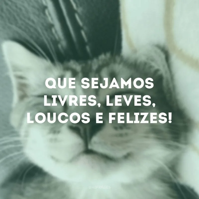 Que sejamos livres, leves, loucos e felizes!