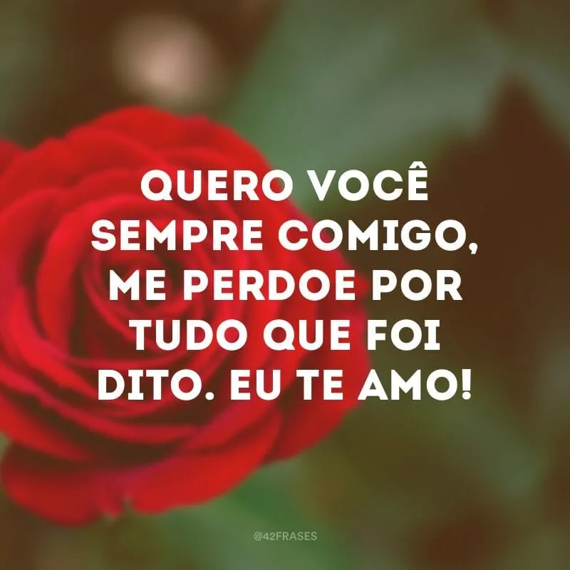Quero você sempre comigo, me perdoe por tudo que foi dito. Eu te amo!