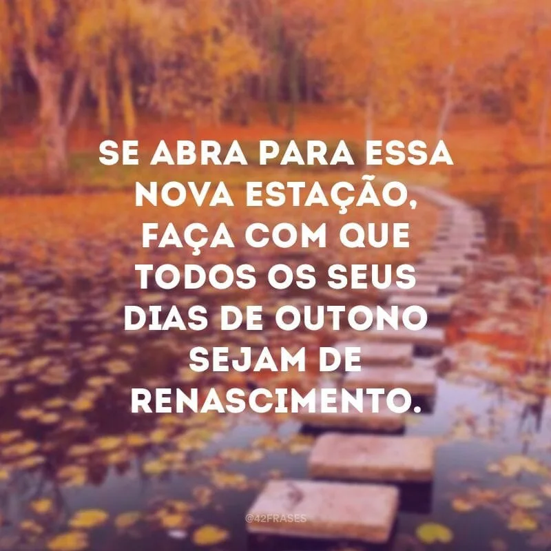 Se abra para essa nova estação, faça com que todos os seus dias de outono sejam de renascimento.
