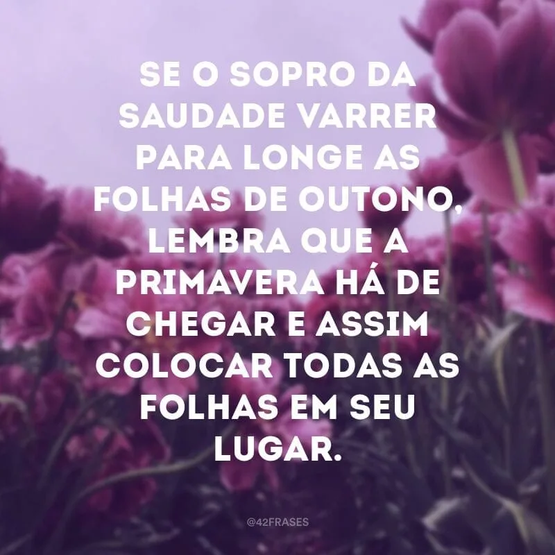 Se o sopro da saudade varrer para longe as folhas de outono, lembra que a primavera há de chegar e assim colocar todas as folhas em seu lugar.
