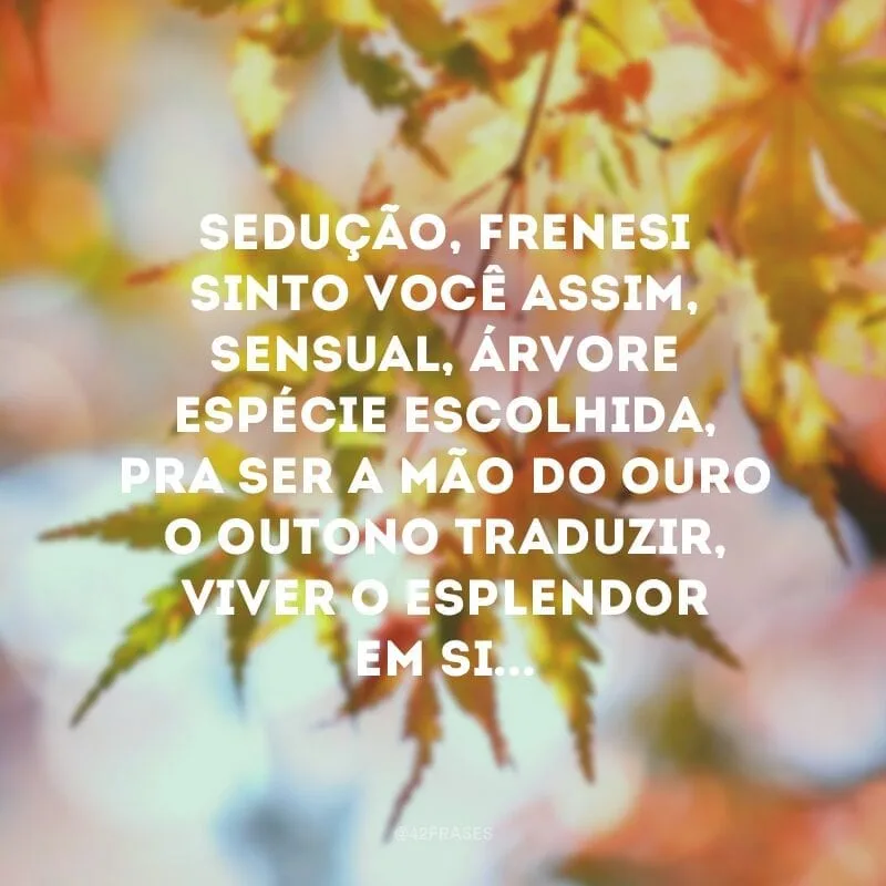 Sedução, frenesi Sinto você assim, sensual, árvore Espécie escolhida, pra ser a mão do ouro O outono traduzir, viver o esplendor em si...