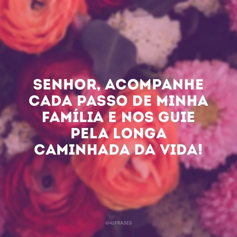 Senhor, acompanhe cada passo de minha família e nos guie pela longa caminhada da vida!