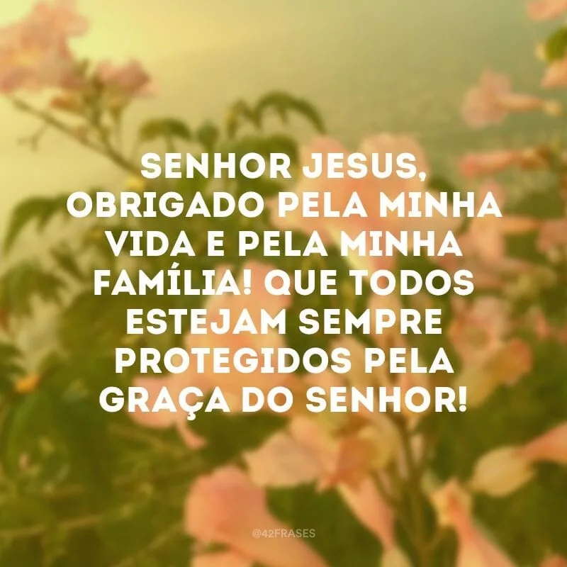 Senhor Jesus, obrigado pela minha vida e pela minha família! Que todos estejam sempre protegidos pela graça do Senhor!