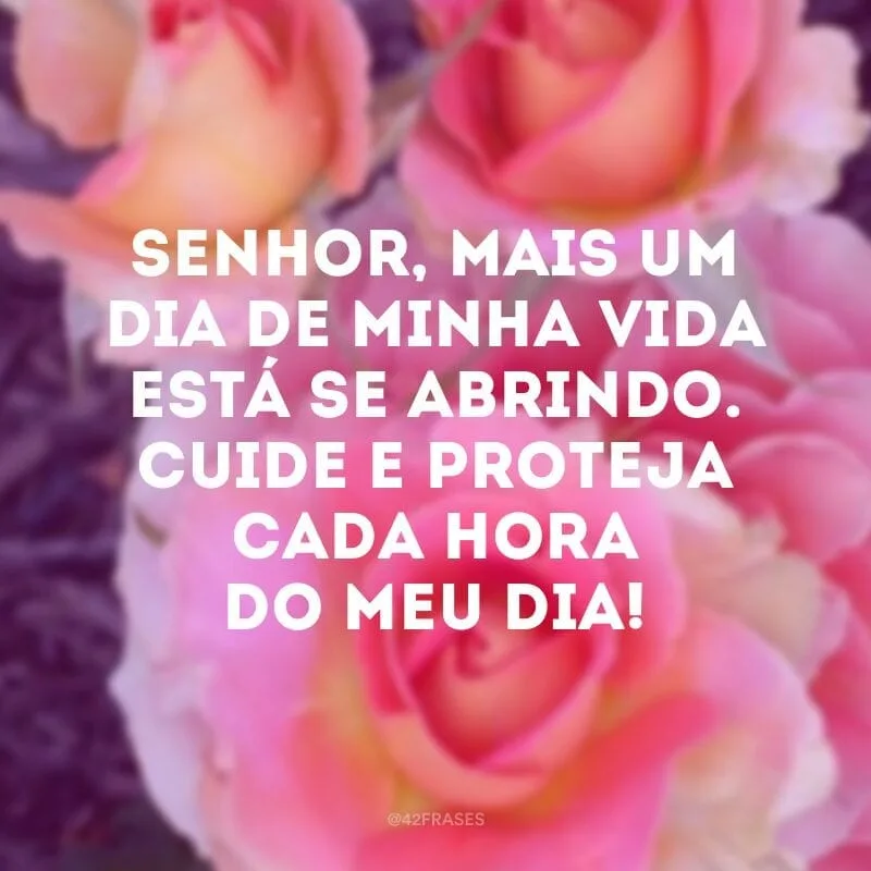Senhor, mais um dia de minha vida está se abrindo. Cuide e proteja cada hora do meu dia!
