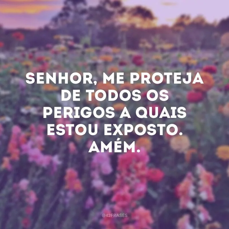 Senhor, me proteja de todos os perigos a quais estou exposto. Amém.