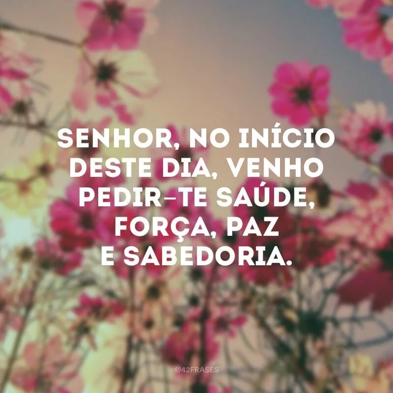 Senhor, no início deste dia, venho pedir-Te saúde, força, paz e sabedoria.