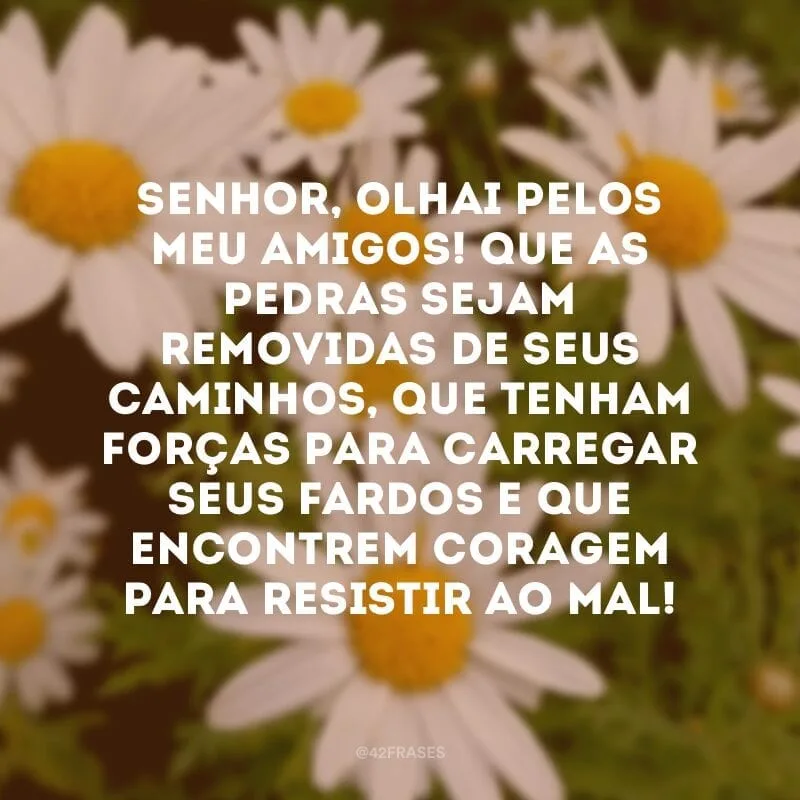 Senhor, olhai pelos meu amigos! Que as pedras sejam removidas de seus caminhos, que tenham forças para carregar seus fardos e que encontrem coragem para resistir ao mal! 