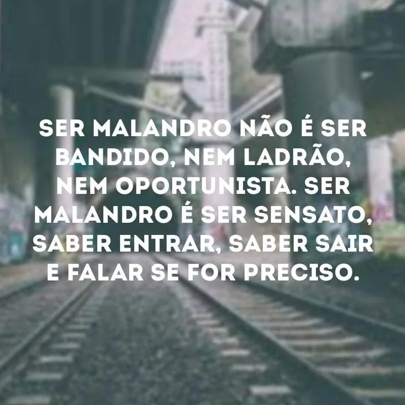 Ser malandro não é ser bandido, nem ladrão, nem oportunista. Ser malandro é ser sensato, saber entrar, saber sair e falar se for preciso.