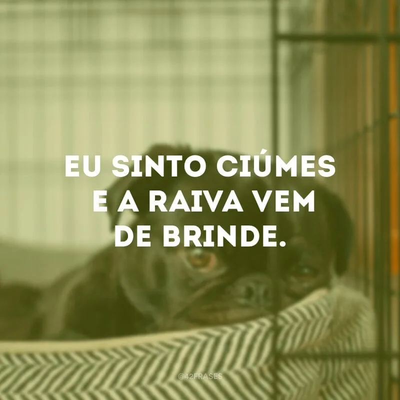 Eu sinto ciúmes e a raiva vem de brinde.