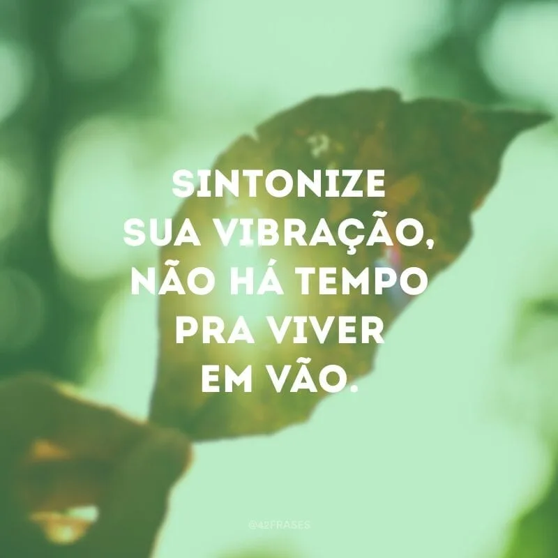 Sintonize sua vibração, não há tempo pra viver em vão. 