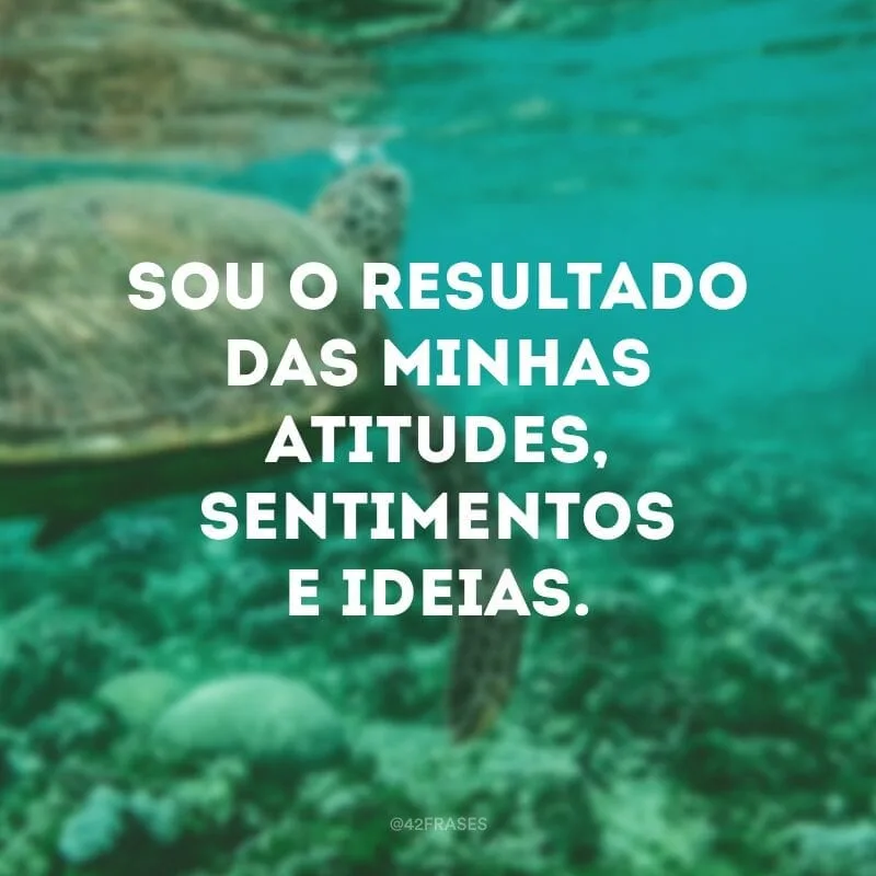 Sou o resultado das minhas atitudes, sentimentos e ideias.