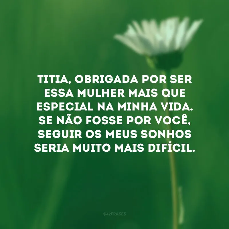 Titia, obrigada por ser essa mulher mais que especial na minha vida. Se não fosse por você, seguir os meus sonhos seria muito mais difícil.