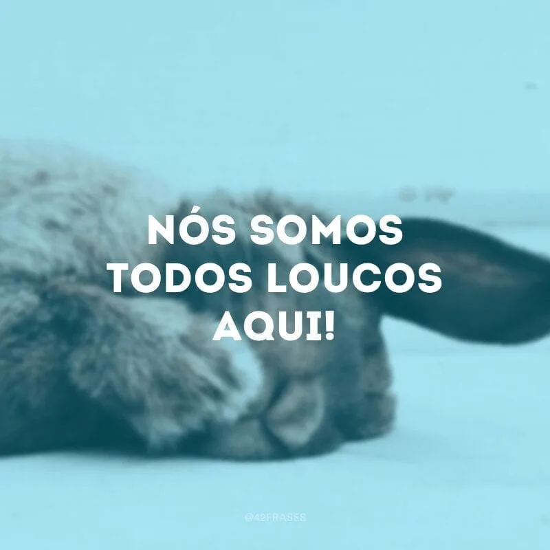 Nós somos todos loucos aqui!
