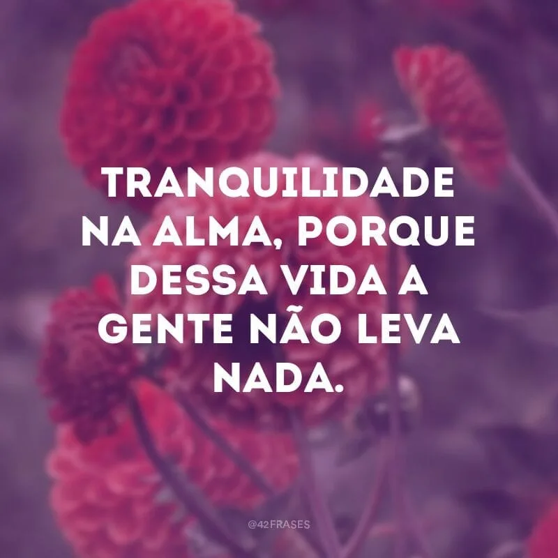 Tranquilidade na alma, porque dessa vida a gente não leva nada.