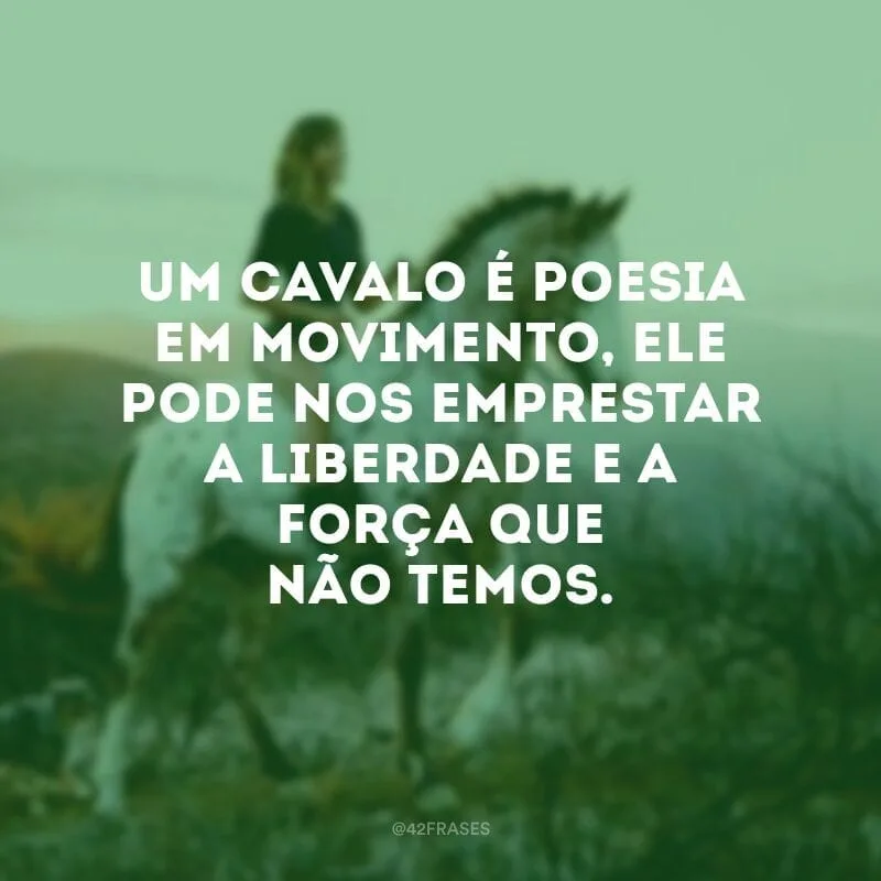 Um cavalo é poesia em movimento, ele pode nos emprestar a liberdade e a força que não temos.