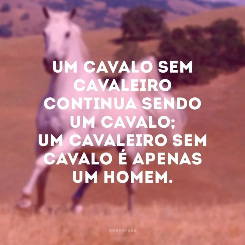 Um cavalo sem cavaleiro continua sendo um cavalo; um cavaleiro sem cavalo é apenas um homem.