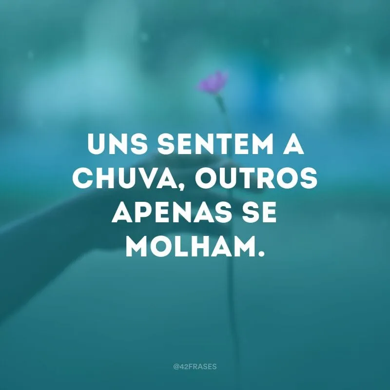 Uns sentem a chuva, outros apenas se molham.