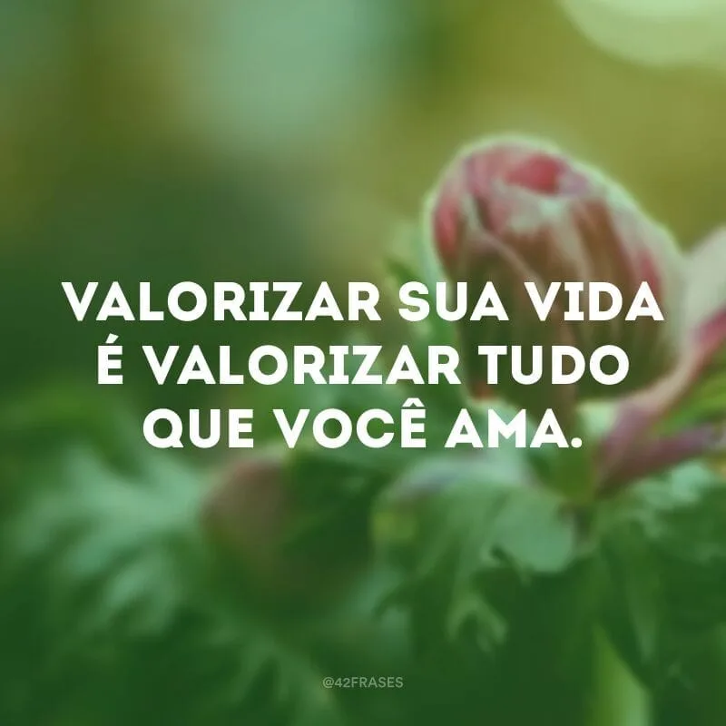 Valorizar sua vida é valorizar tudo que você ama.