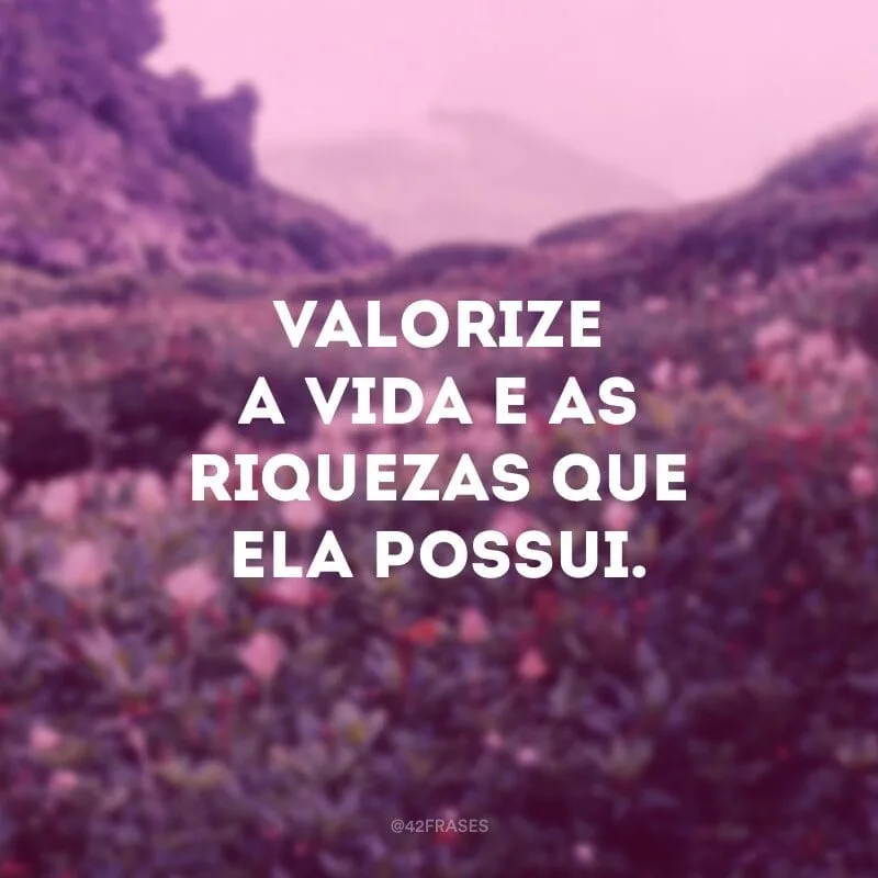 Valorize a vida e as riquezas que ela possui.