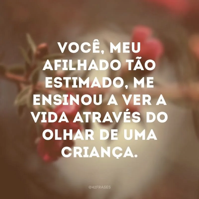 Você, meu afilhado tão estimado, me ensinou a ver a vida através do olhar de uma criança.