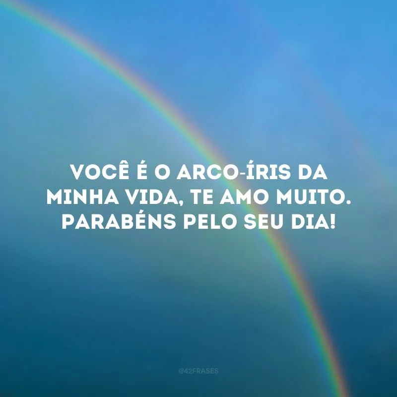 Você é o arco-íris da minha vida, te amo muito. Parabéns pelo seu dia!