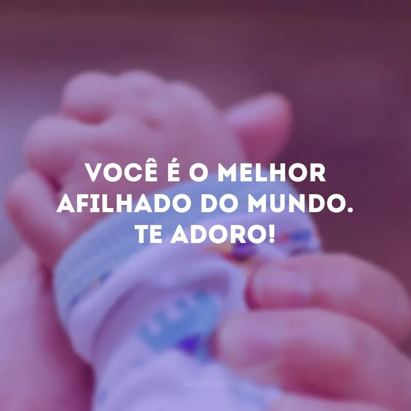Você é o melhor afilhado do mundo. Te adoro!