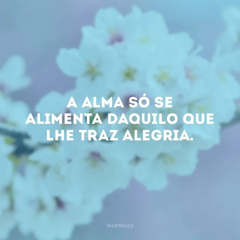 A alma só se alimenta daquilo que lhe traz alegria. 