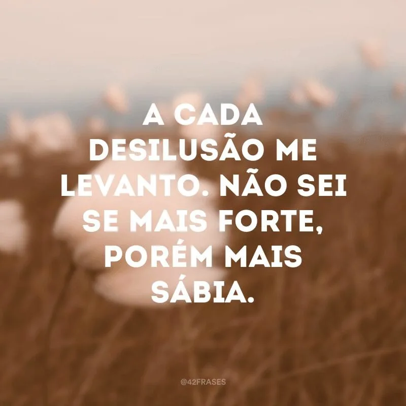 A cada desilusão me levanto. Não sei se mais forte, porém mais sábia.