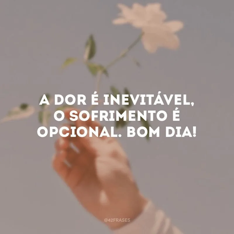 A dor é inevitável, o sofrimento é opcional. Bom dia! 