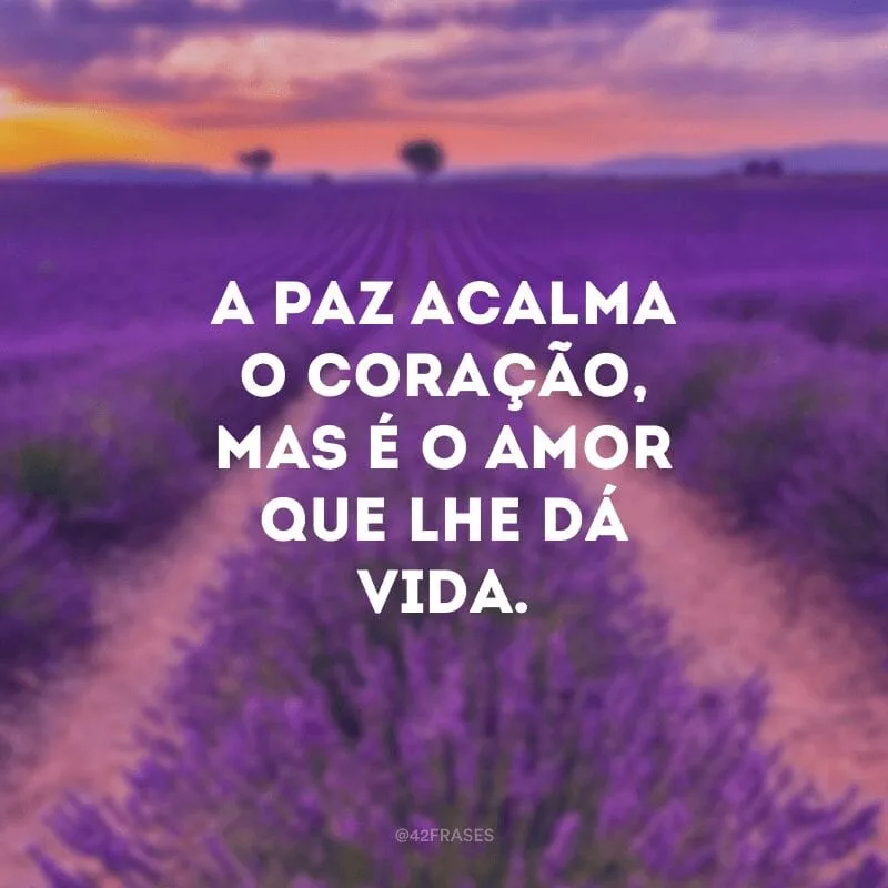 A paz acalma o coração, mas é o amor que lhe dá vida.