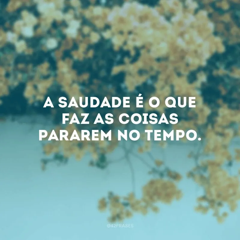 A saudade é o que faz as coisas pararem no tempo.
