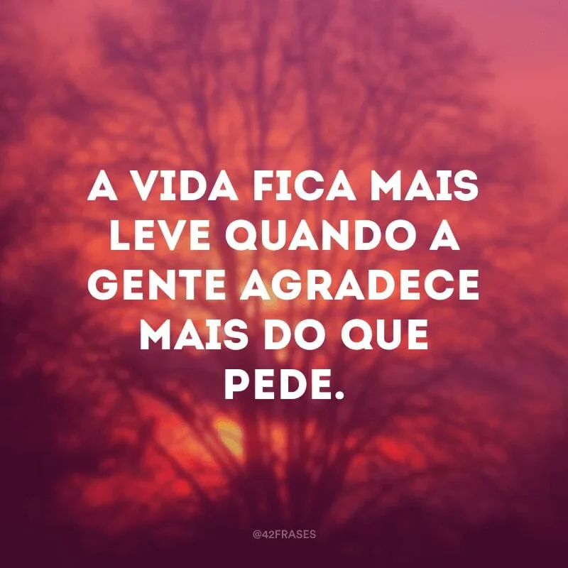 A vida fica mais leve quando a gente agradece mais do que pede.