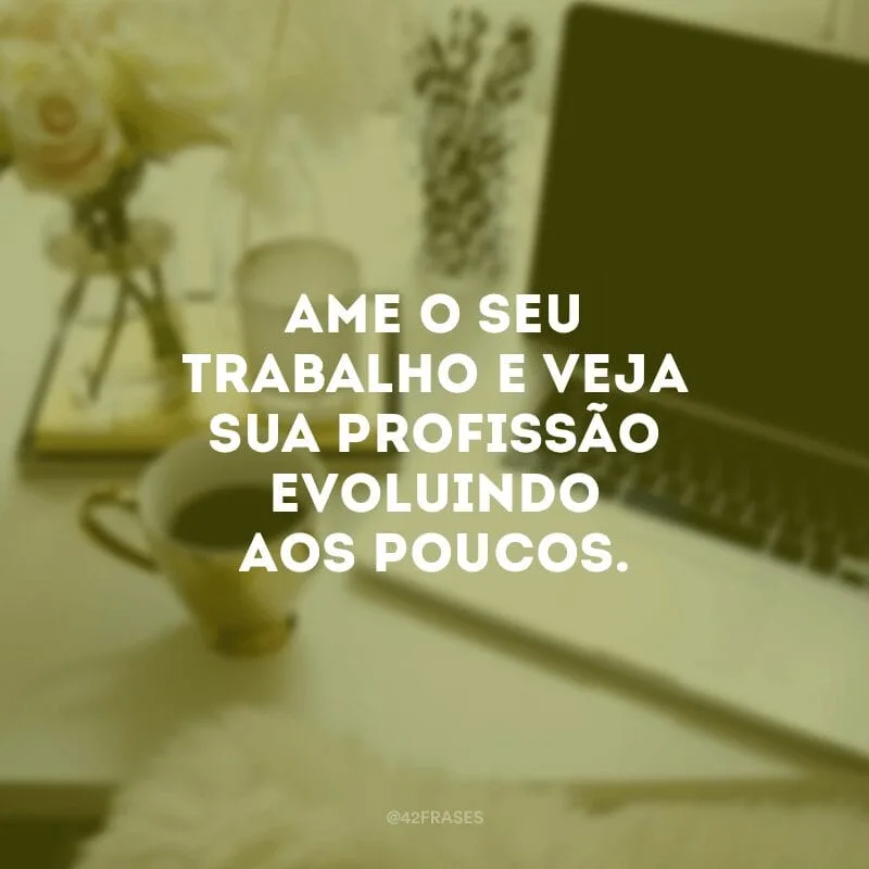 Ame o seu trabalho e veja sua profissão evoluindo aos poucos.