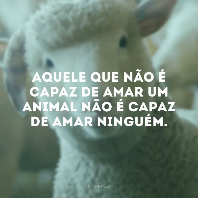 Aquele que não é capaz de amar um animal não é capaz de amar ninguém.