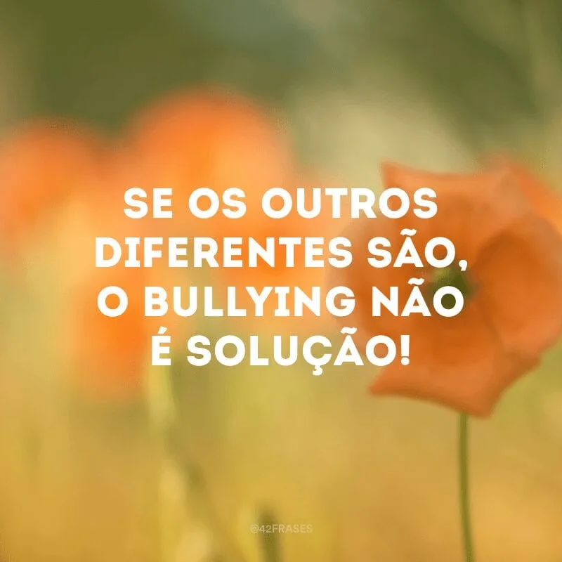 Se os outros diferentes são, o bullying não é solução!