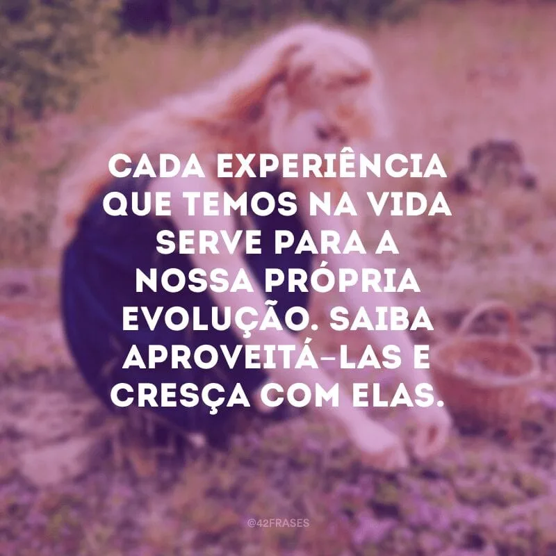 Cada experiência que temos na vida serve para a nossa própria evolução. Saiba aproveitá-las e cresça com elas.