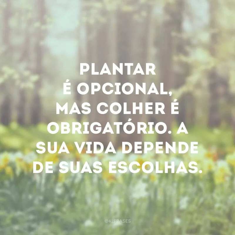 Plantar é opcional, mas colher é obrigatório. A sua vida depende de suas escolhas.