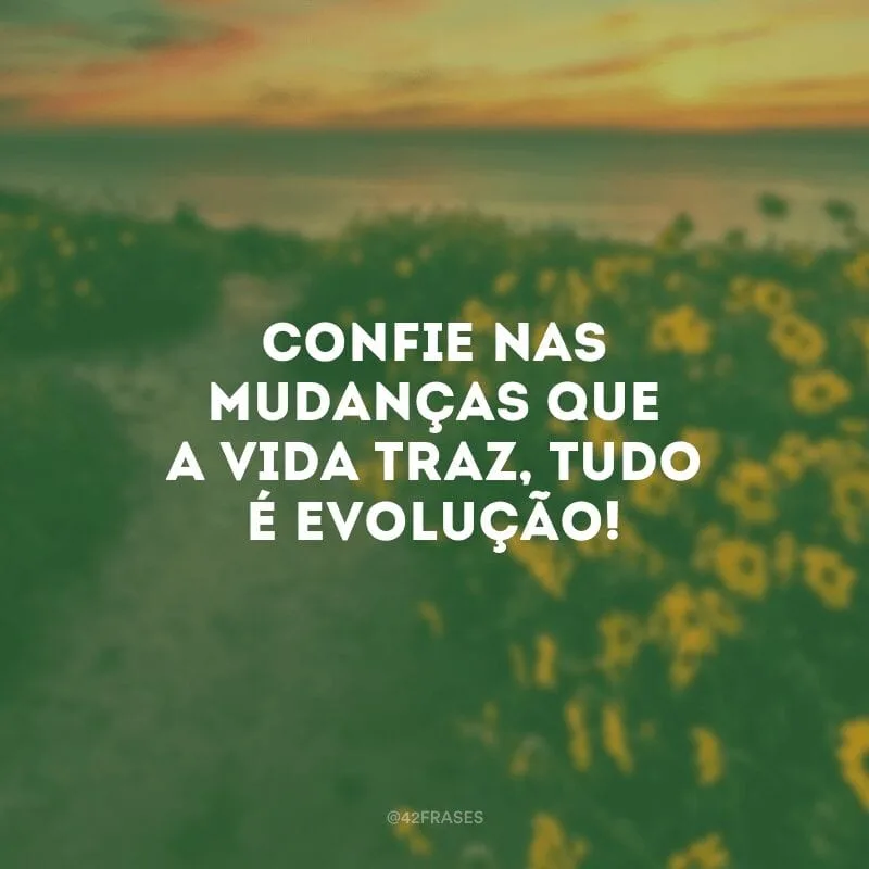 Confie nas mudanças que a vida traz, tudo é evolução!