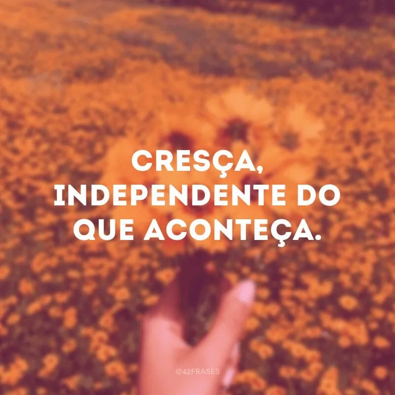 Cresça, independente do que aconteça.