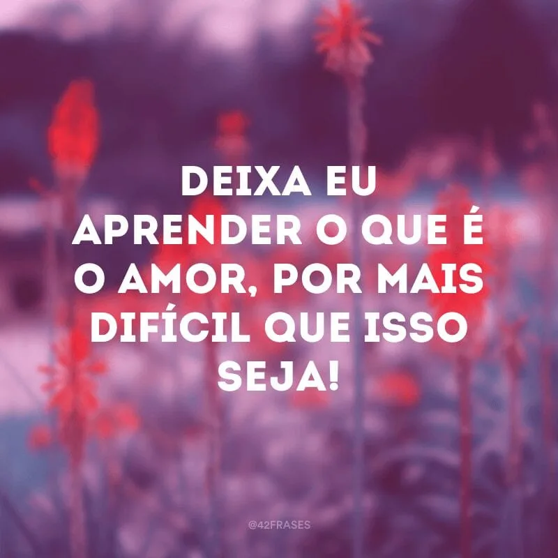 Deixa eu aprender o que é o amor, por mais difícil que isso seja!