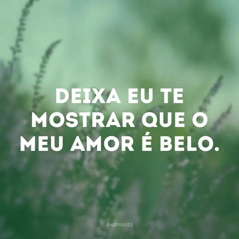 Deixa eu te mostrar que o meu amor é belo.