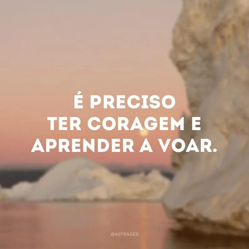 É preciso ter coragem e aprender a voar.