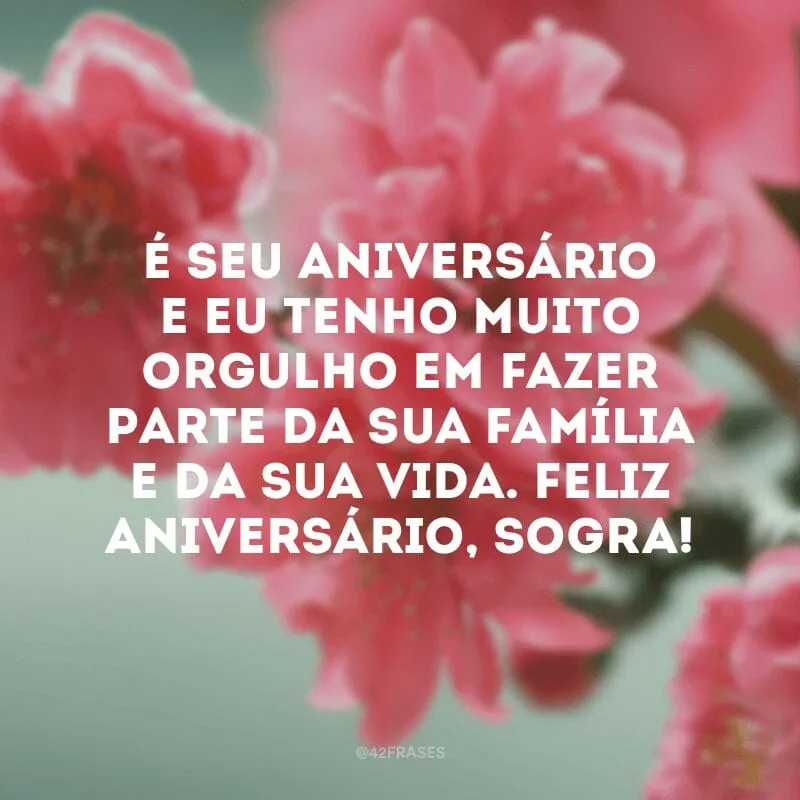 É seu aniversário e eu tenho muito orgulho em fazer parte da sua família e da sua vida. Feliz aniversário, sogra!