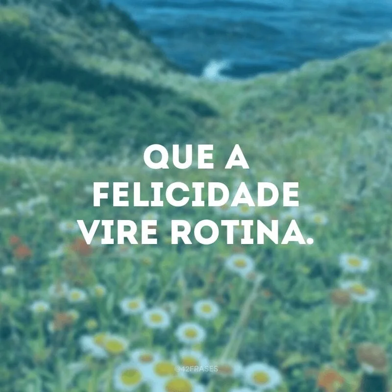 Que a felicidade vire rotina.