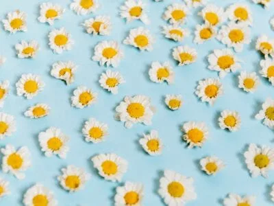 40 frases poéticas para deixar seu dia um pouco mais inspirador