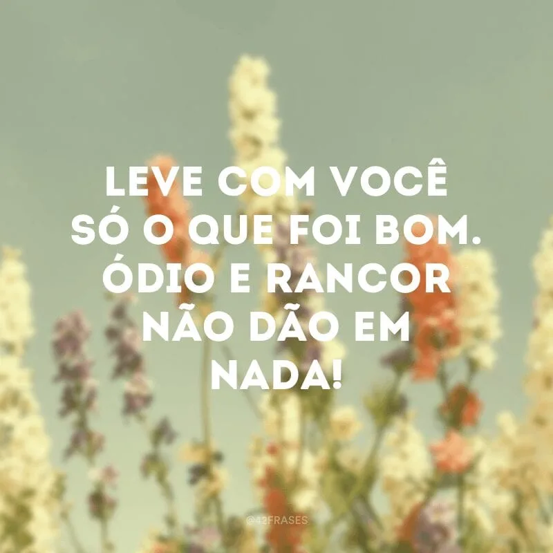Leve com você só o que foi bom. Ódio e rancor não dão em nada!